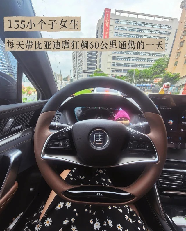 比亚迪T5DM财富版展示图2