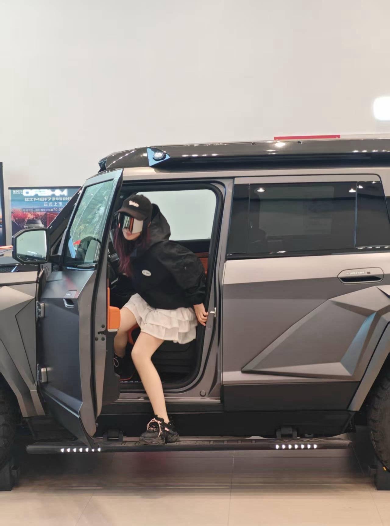 星际X SUV2.5T 柴油 真乘用版·通舱版展示图3