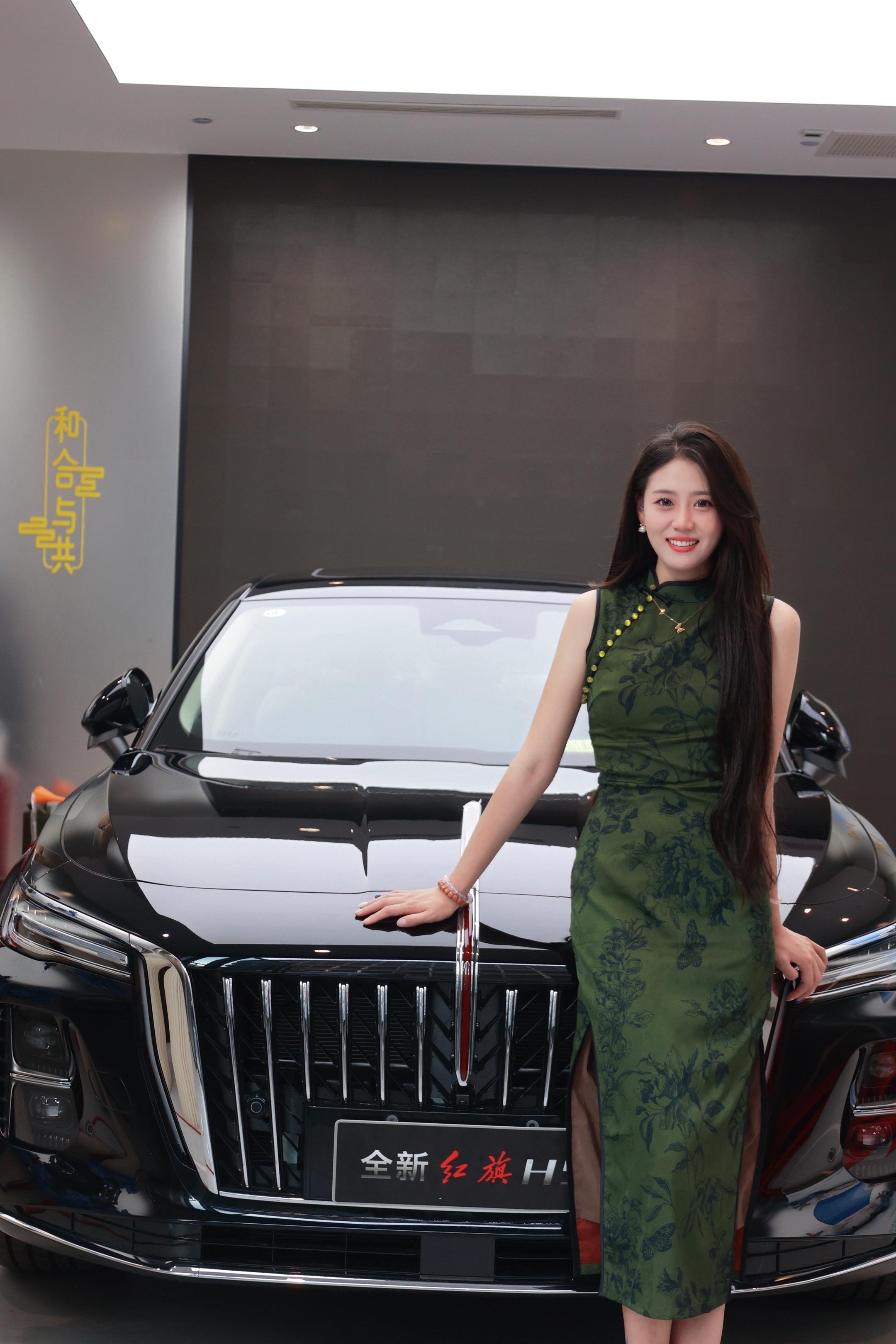 红旗H5 FCEV基本型展示图3