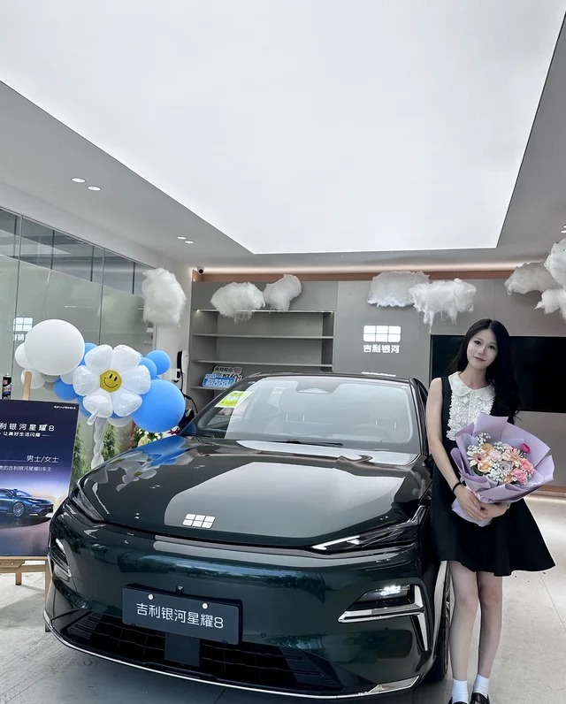 银河星耀8 EV基本型展示图2