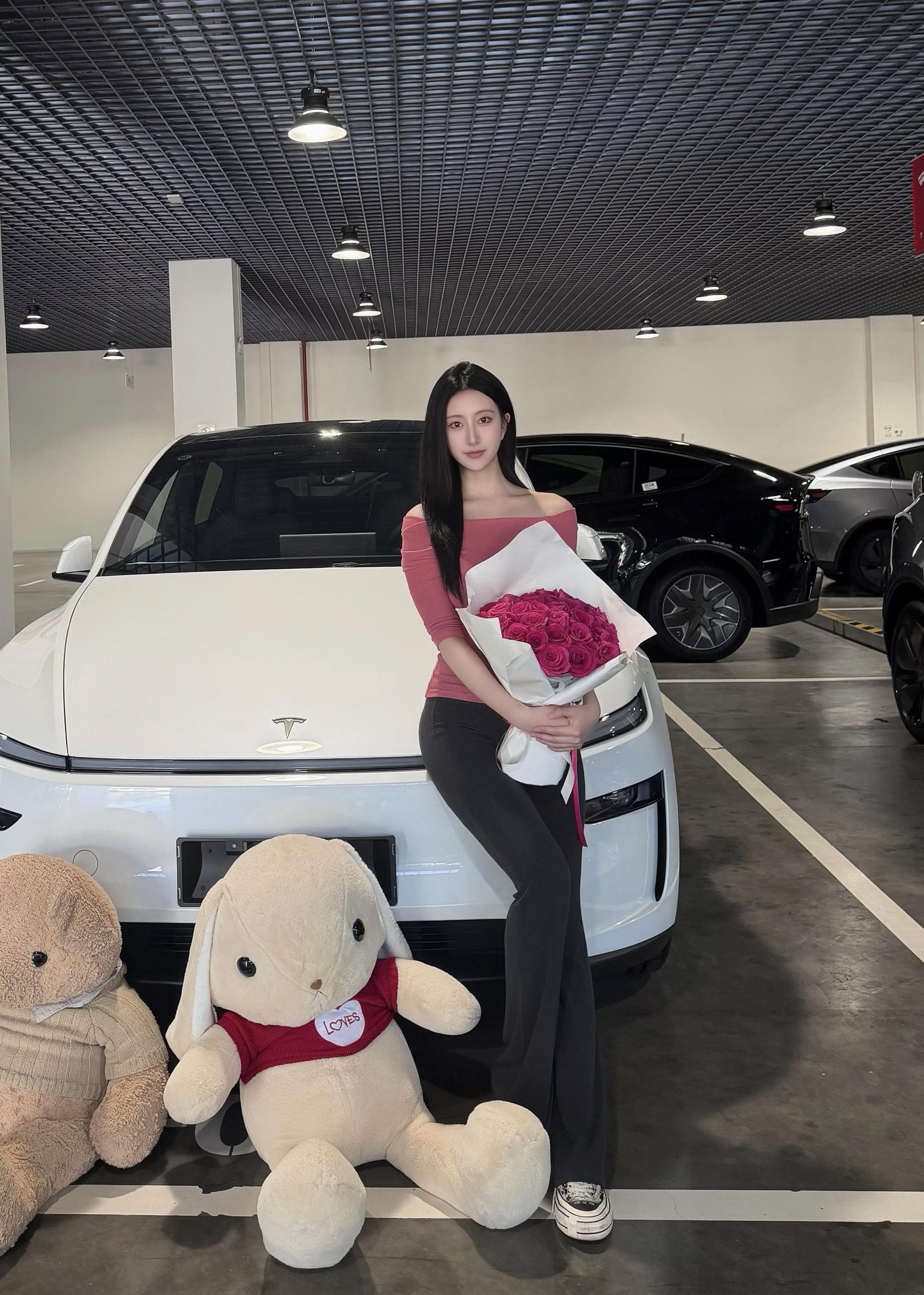 Model Y L标准版展示图3