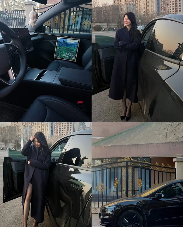 Model Y L标准版展示图2