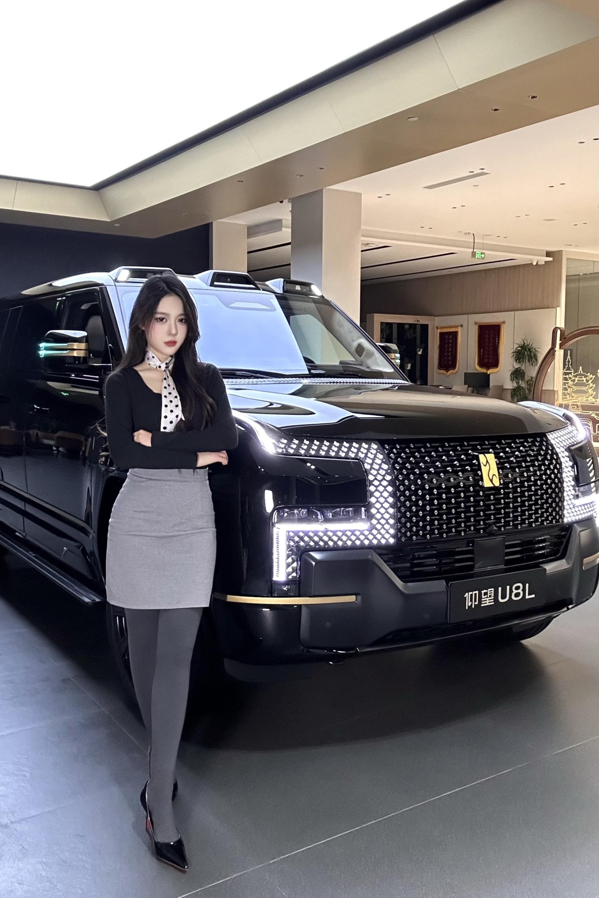 仰望U8L鼎世版展示图2