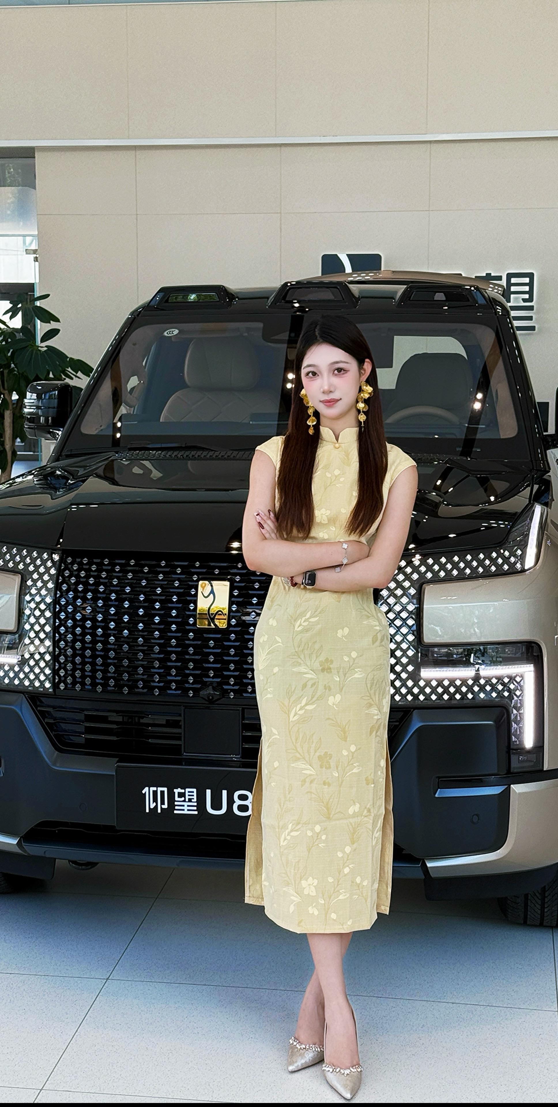 仰望U8L鼎世版展示图3