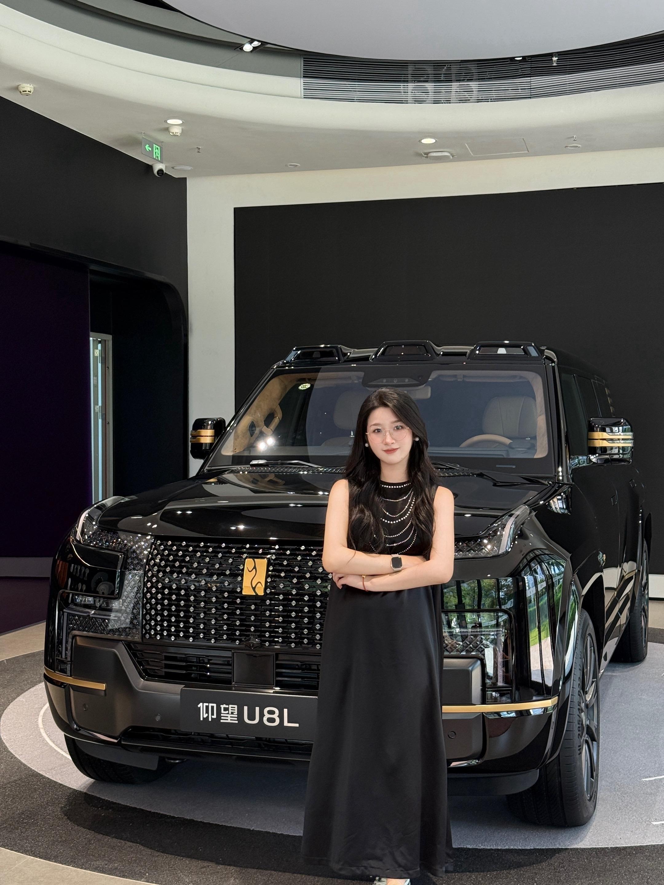 仰望U8L鼎世版展示图3