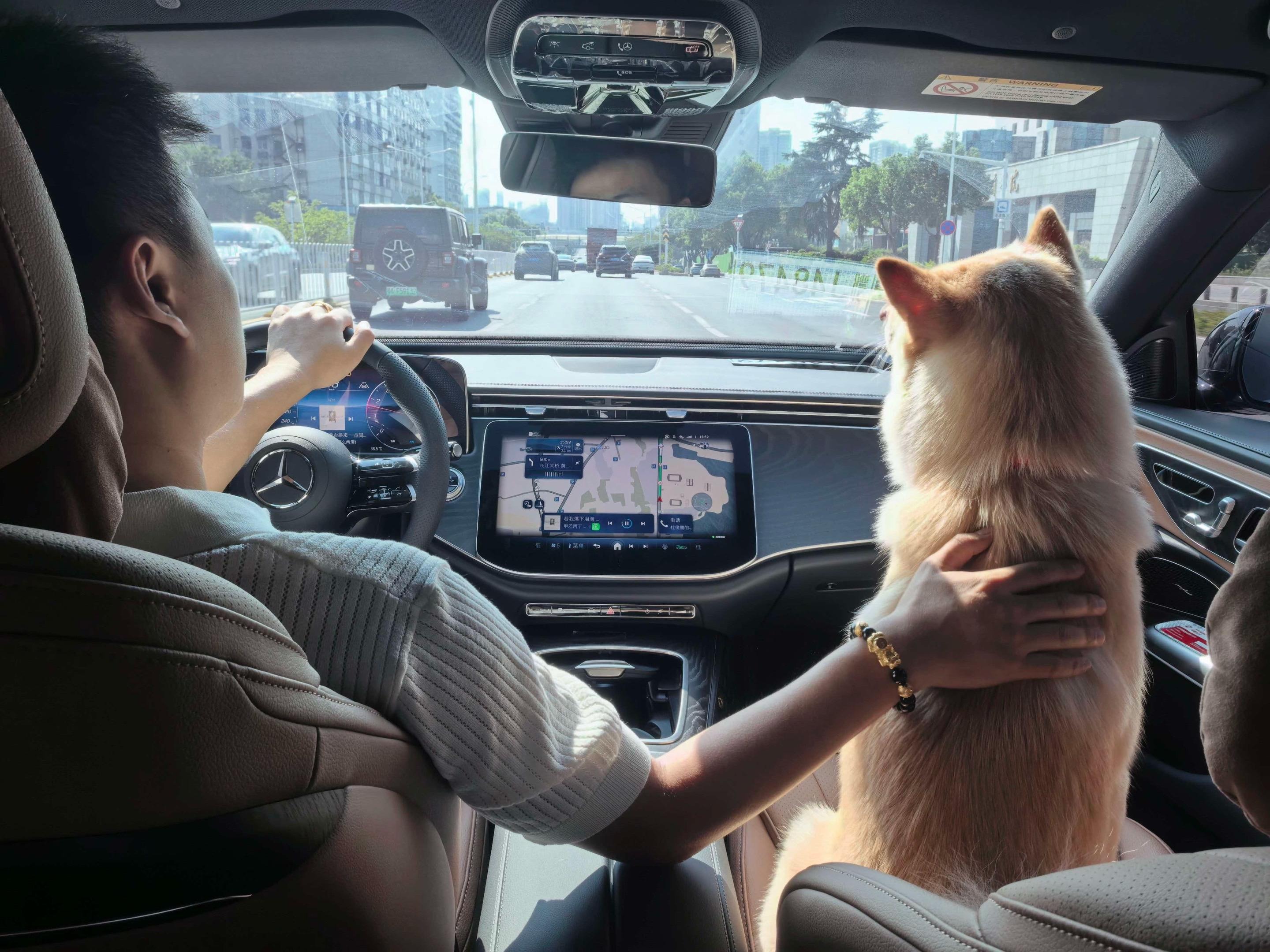 奕歌EV(海外)基本型展示图1