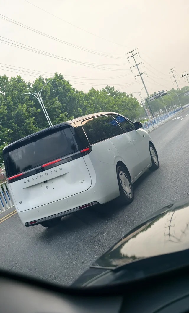 零跑D99增程480旗舰版展示图1