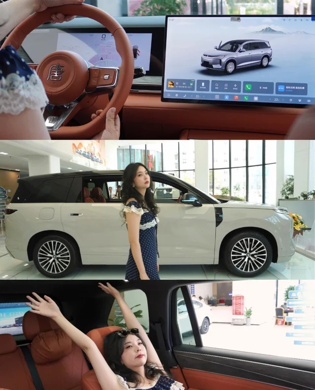 大唐EV950KM后驱激光雷达旗舰型展示图3