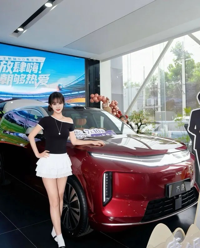 大唐EV800KM后驱激光雷达尊荣型展示图2