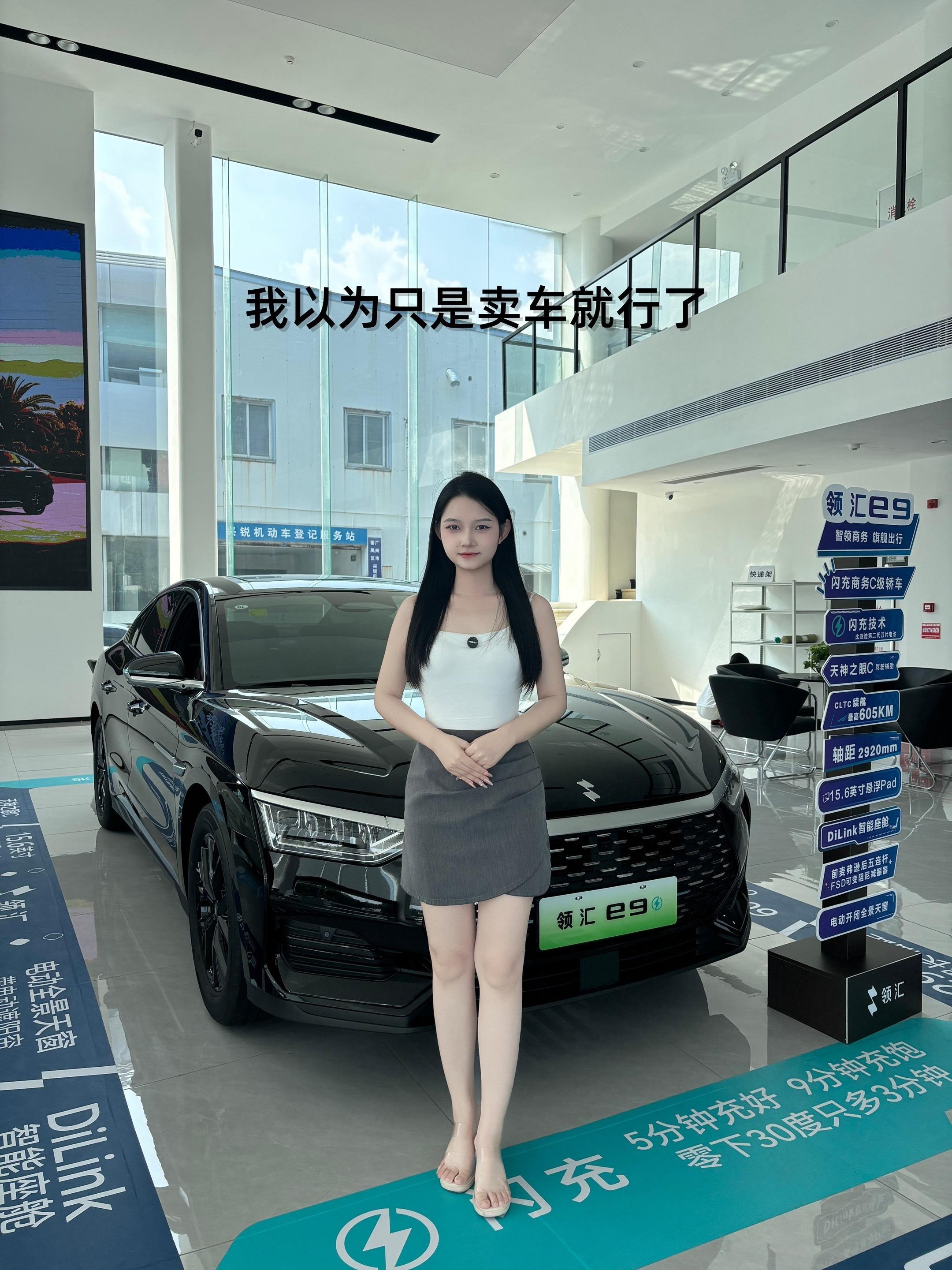 领汇e9 EV535豪华版展示图2