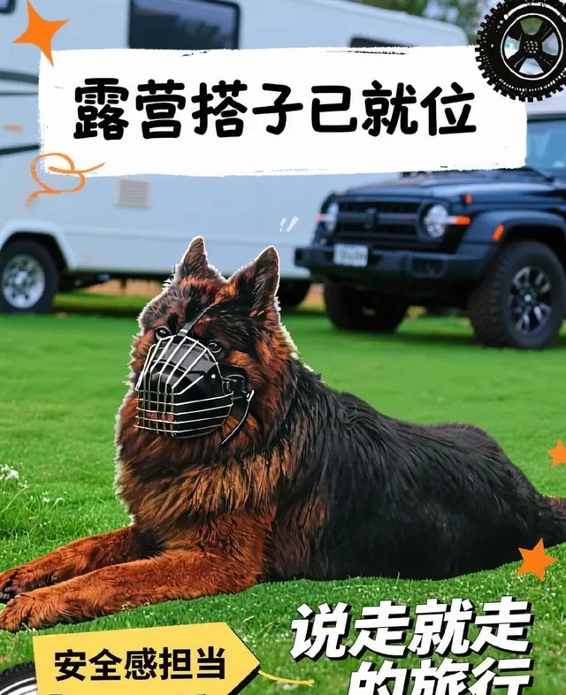长安猎手K70飞猪版展示图2