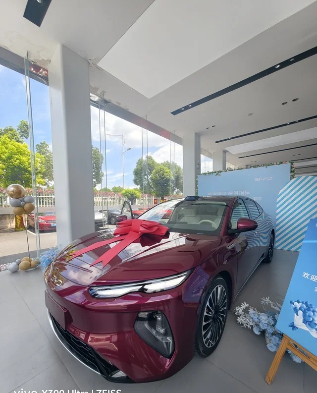 海豹08EV775KM尊贵型展示图2
