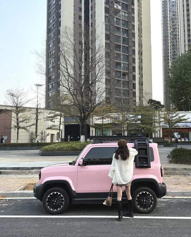 纯电小型车