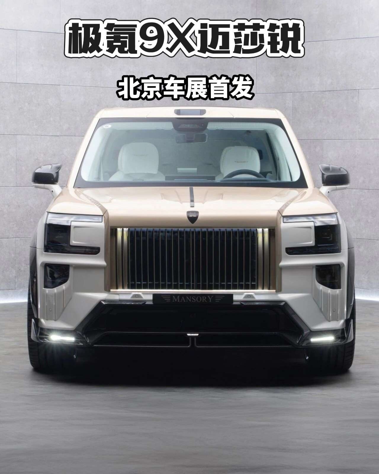 迈莎锐极氪9X海外版展示图1