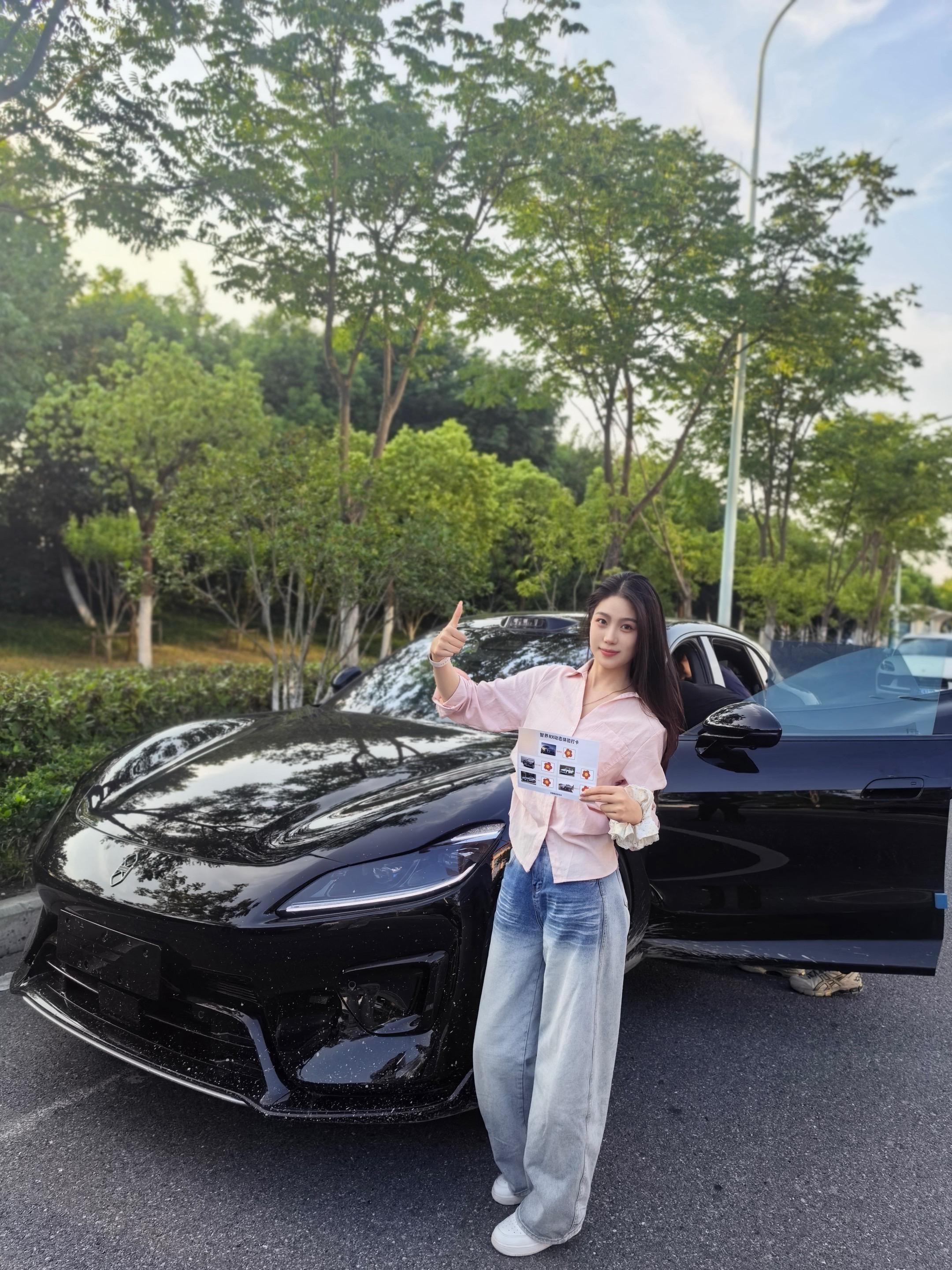 智界RX后驱磷酸铁锂基本型展示图2