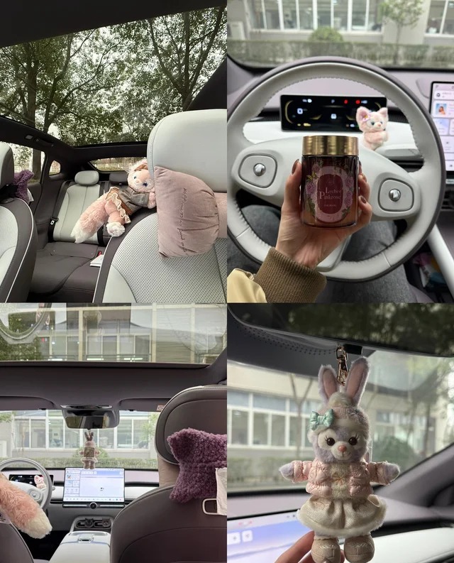 长安启源A06 PHEV基本型展示图2