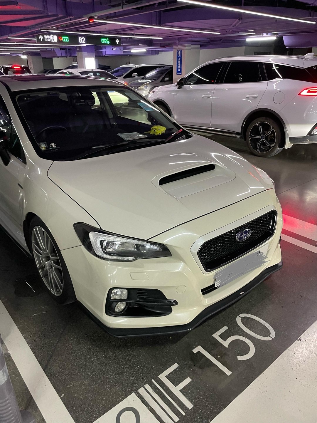 LEVORGSTI Sport R-Black Limited展示图2