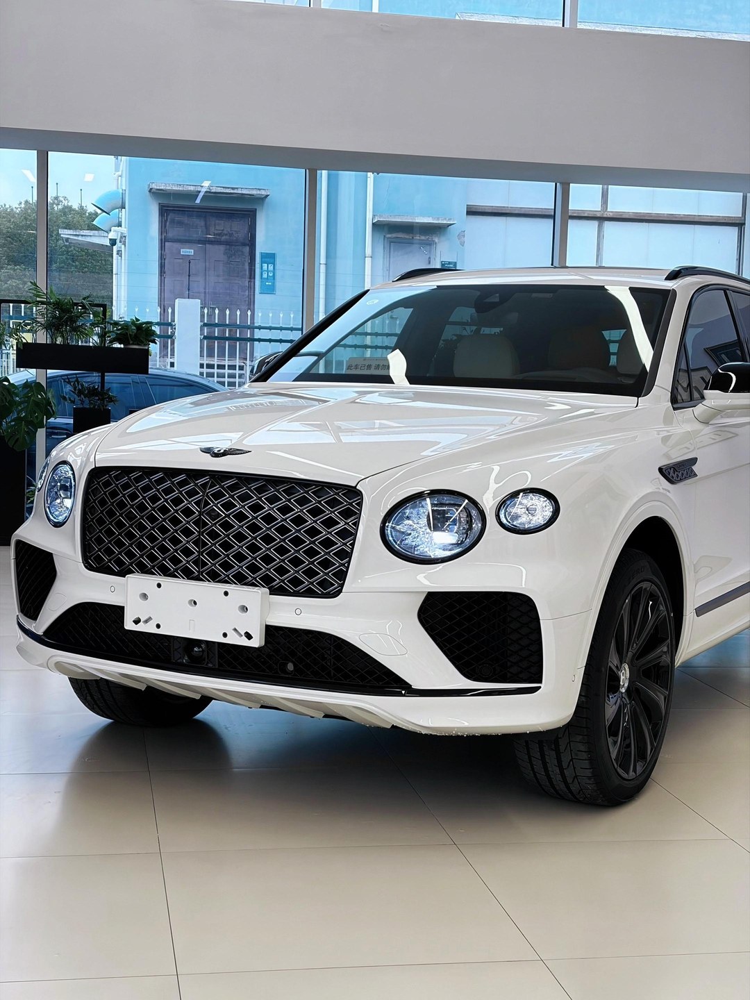 宾利添越PHEV3.0T 长轴距艺境版展示图3