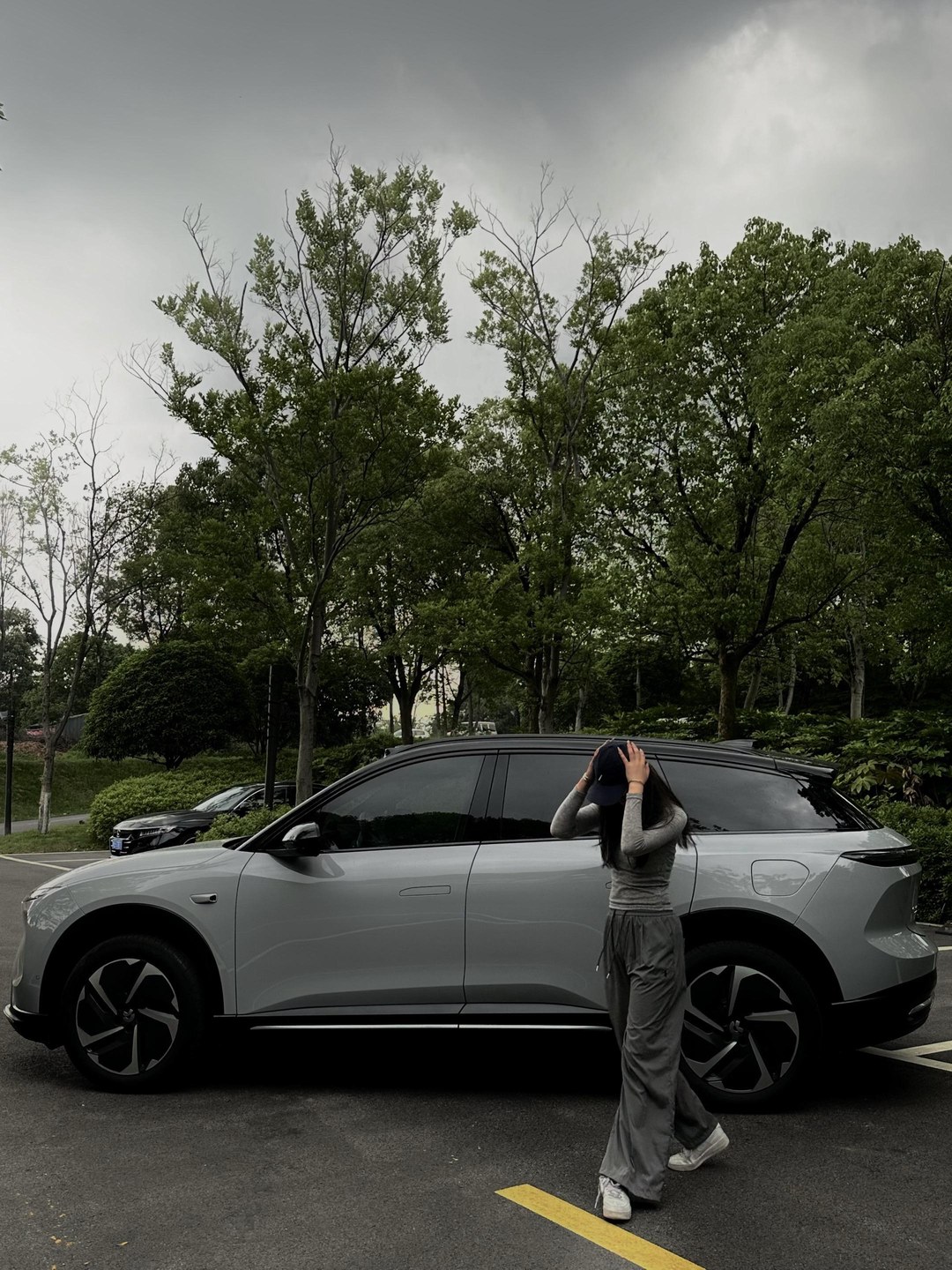 蔚来ES6100kWh 自然奇境版展示图1