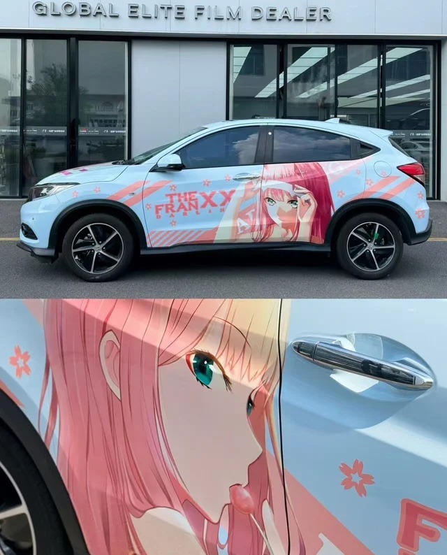 外观