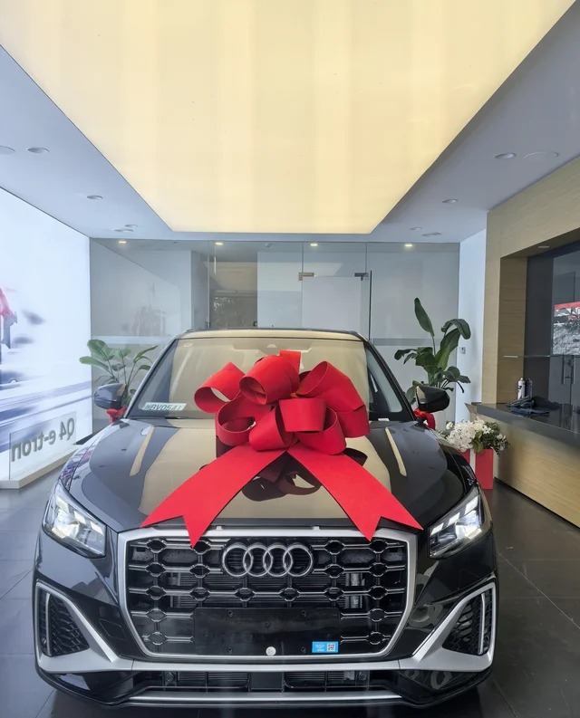 奥迪Q2L35 TFSI 进取动感型展示图1