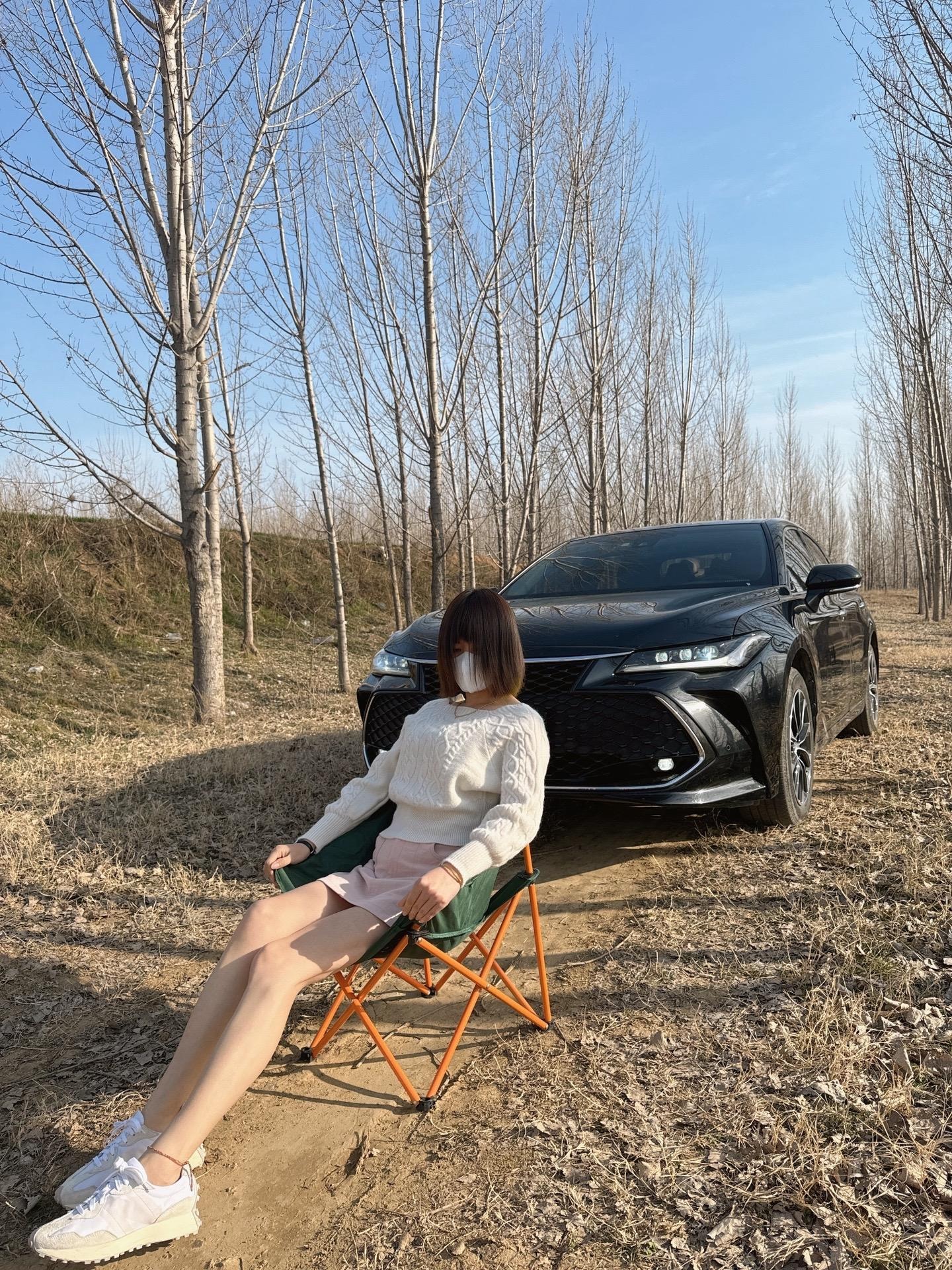 亚洲龙2.0L CVT 进取版展示图2