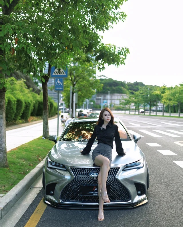 亚洲龙智能电混双擎 2.0L E-CVT 豪华版展示图2