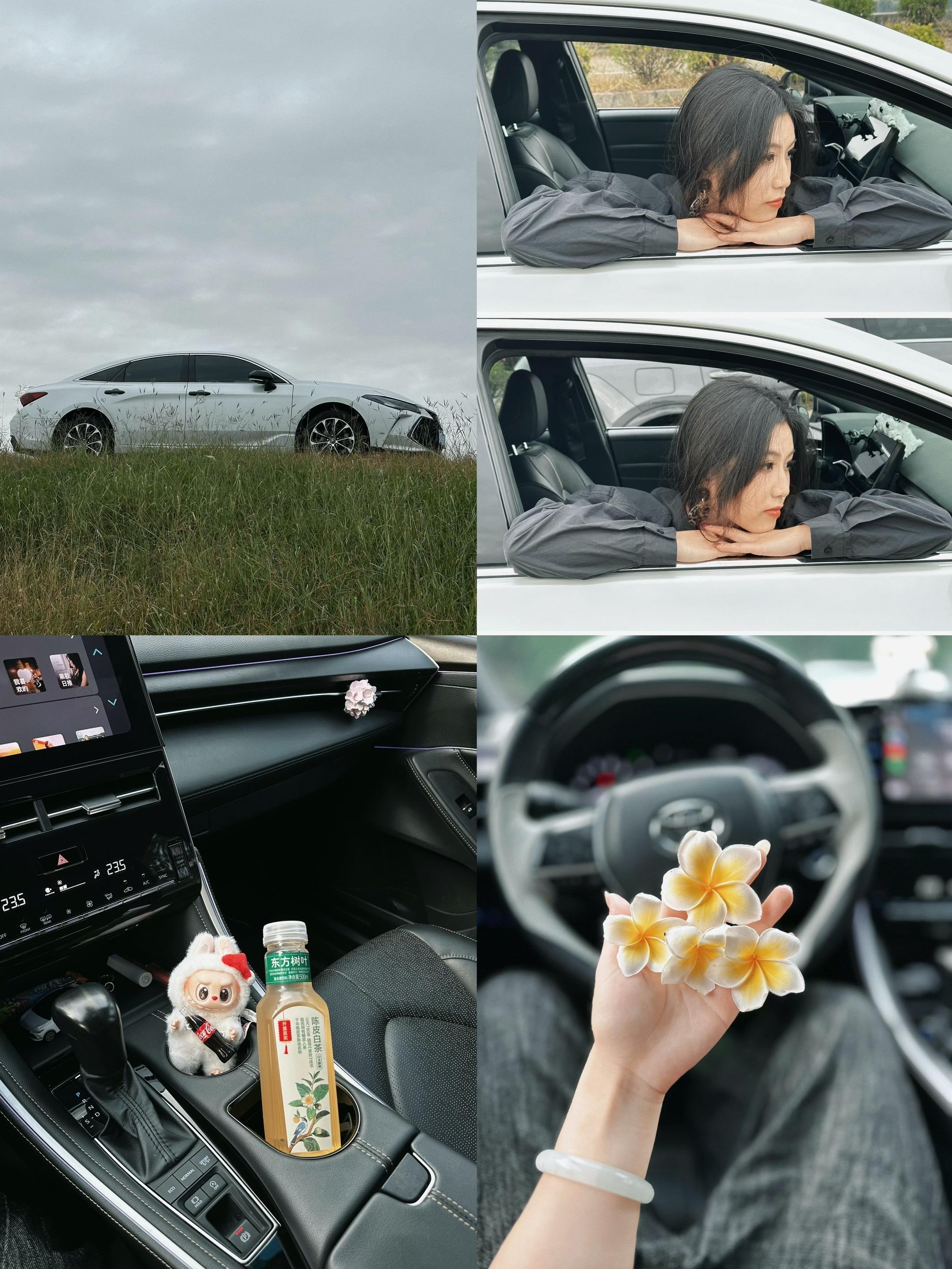 亚洲龙智能电混双擎 2.0L E-CVT 臻选版展示图3