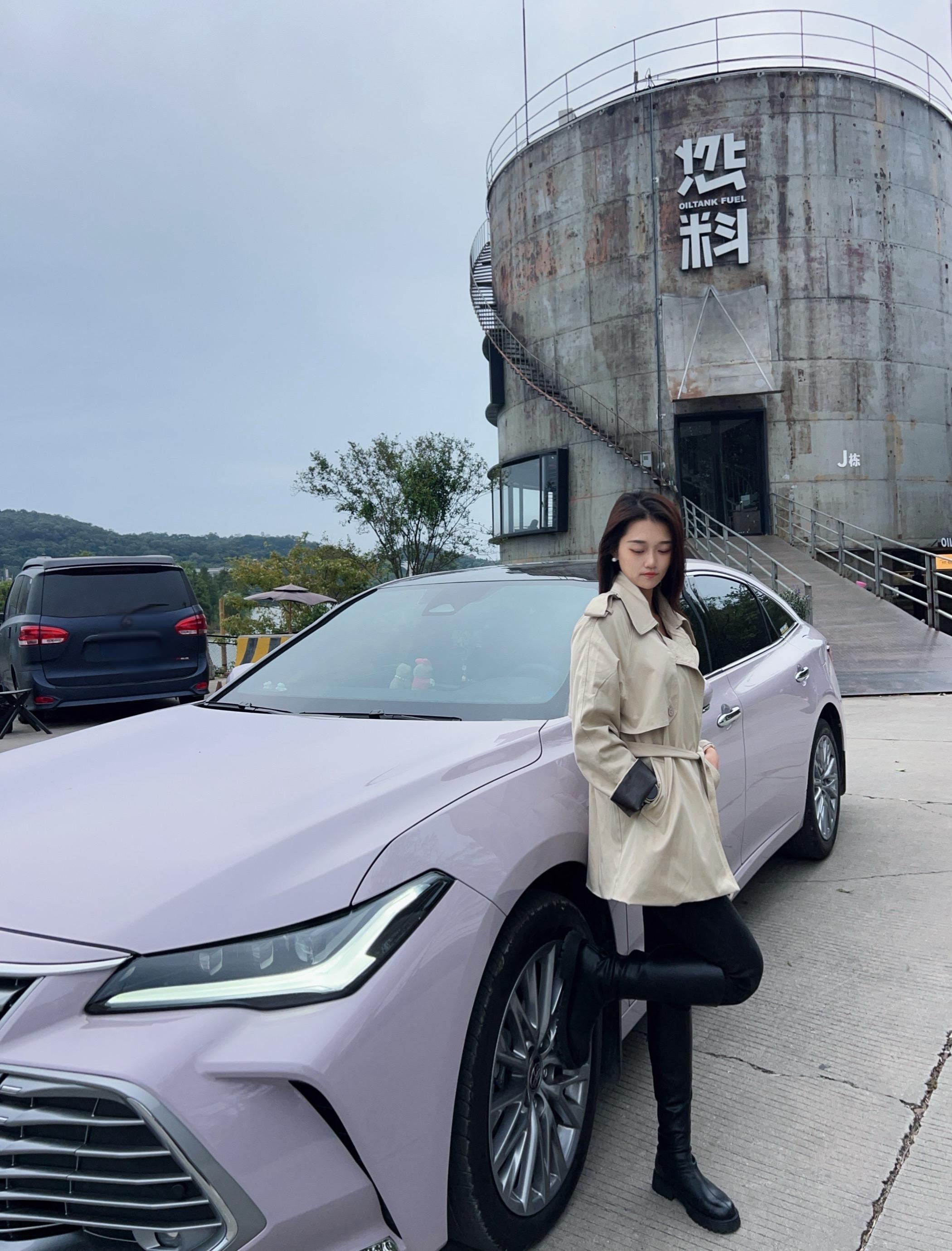 亚洲龙2.0L CVT 臻选版展示图2