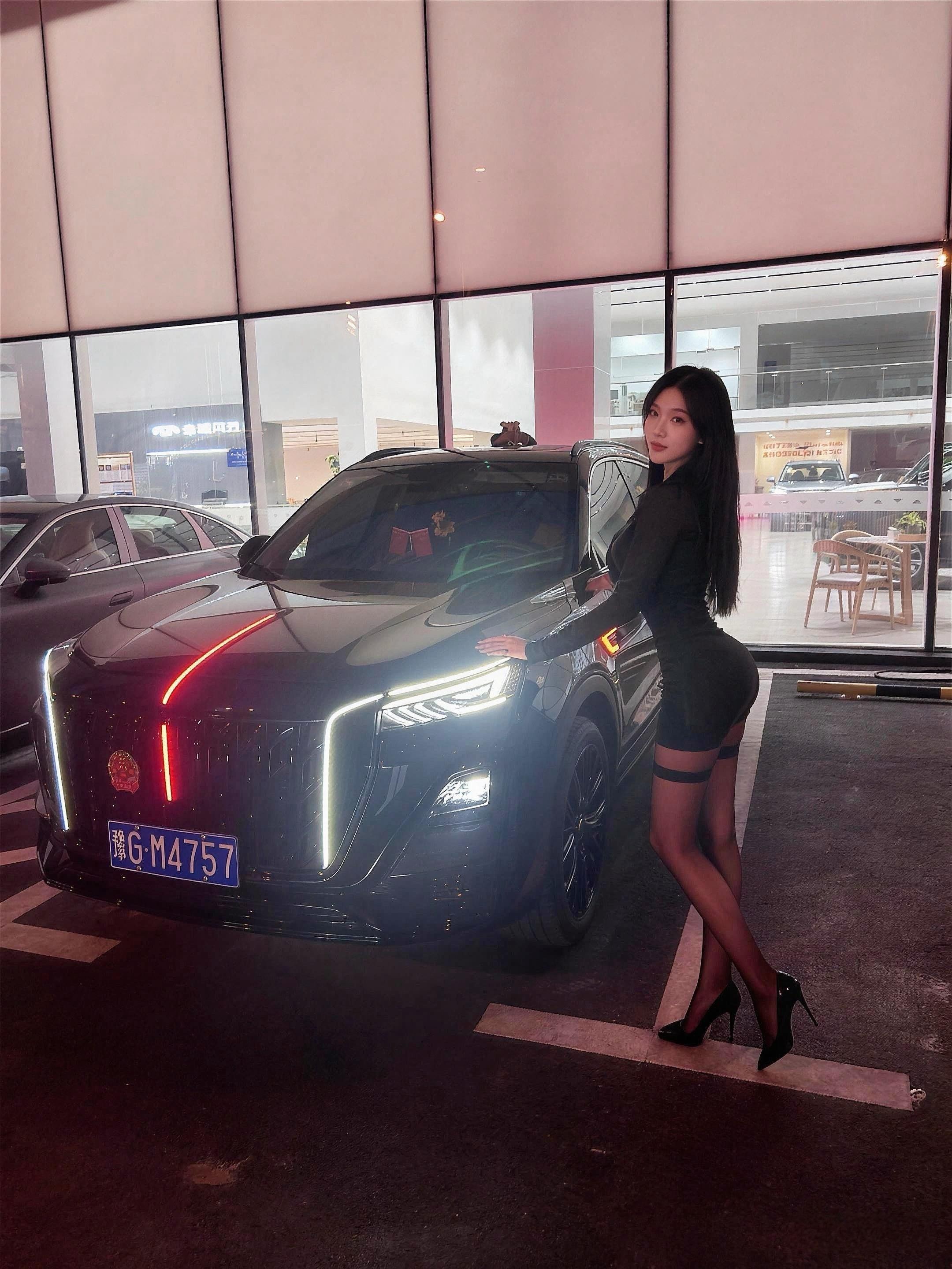 红旗HS52.0T 两驱旗韵Pro版展示图3