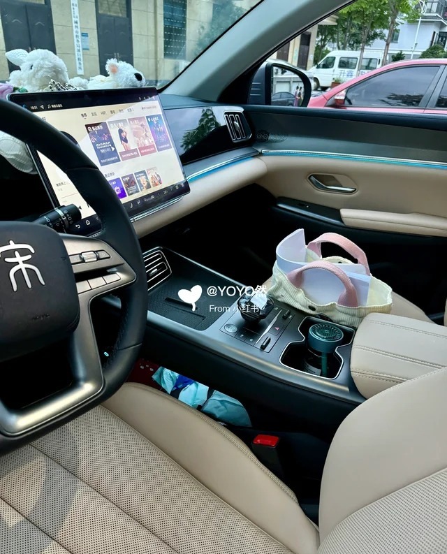 宋Pro DMDM-i 133KM 进取型展示图1