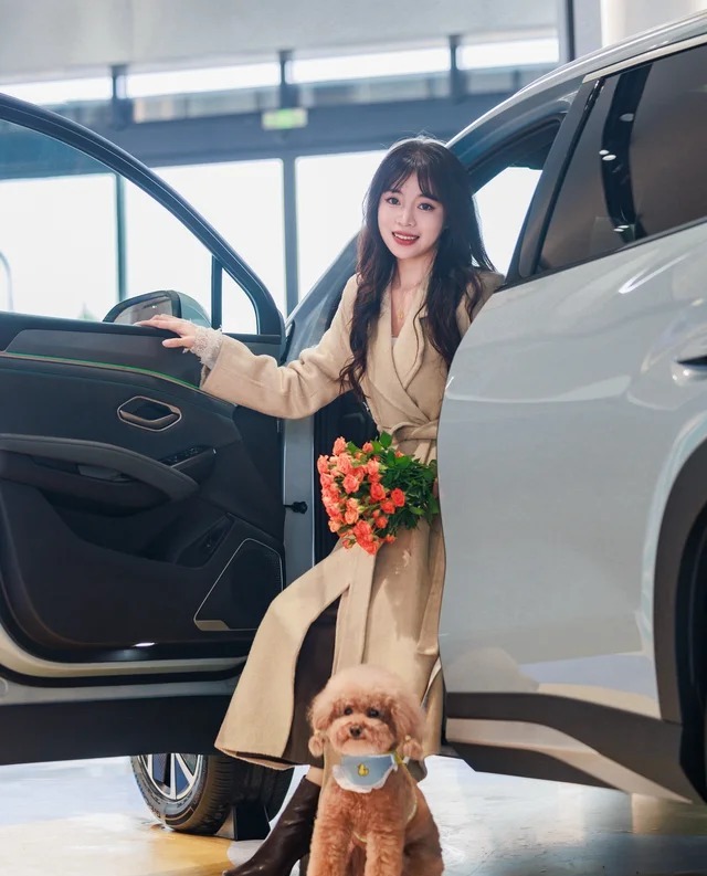 宋Pro DMDM-i 220KM 超越型展示图3