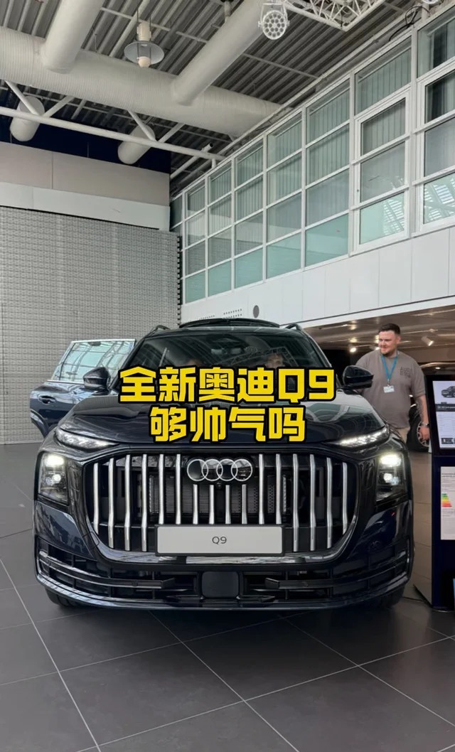 奥迪Q9基本型展示图2