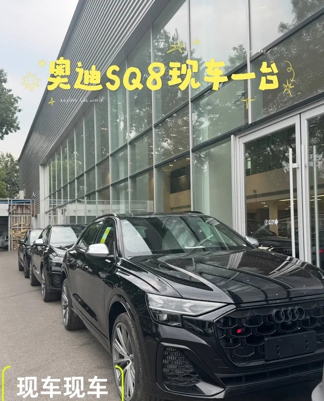 奥迪SQ84.0 TFSI quattro展示图3