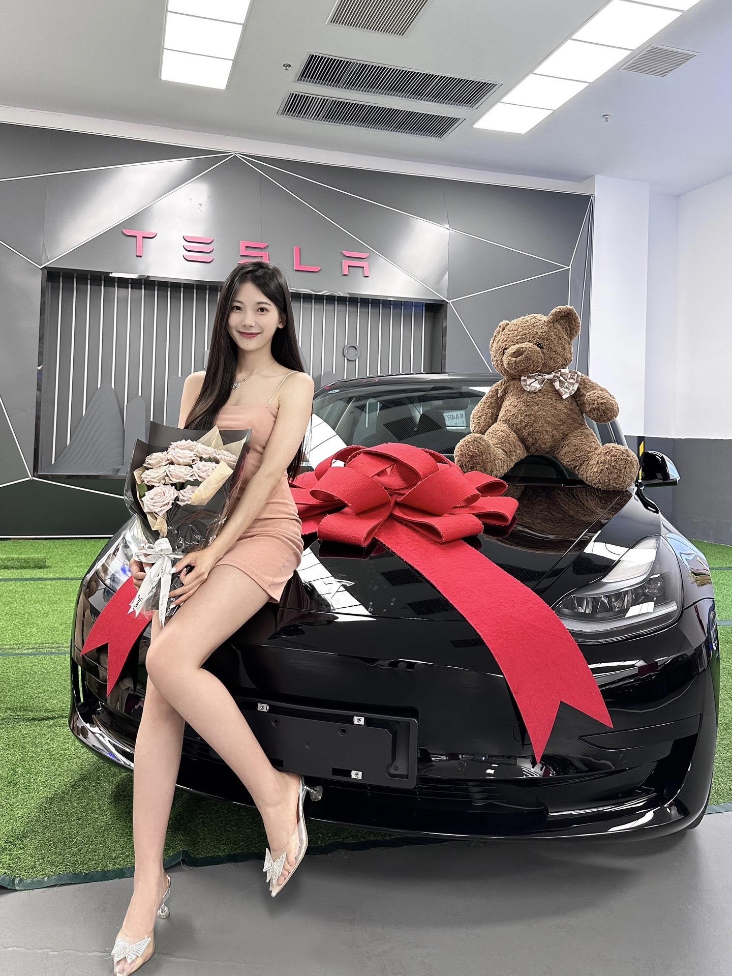 Model 3后轮驱动版展示图2
