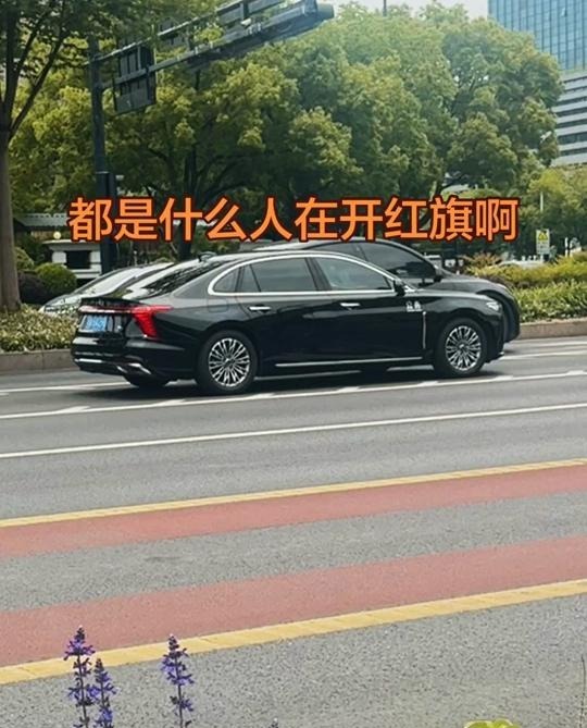 红旗H5 PHEV130 超混版展示图2