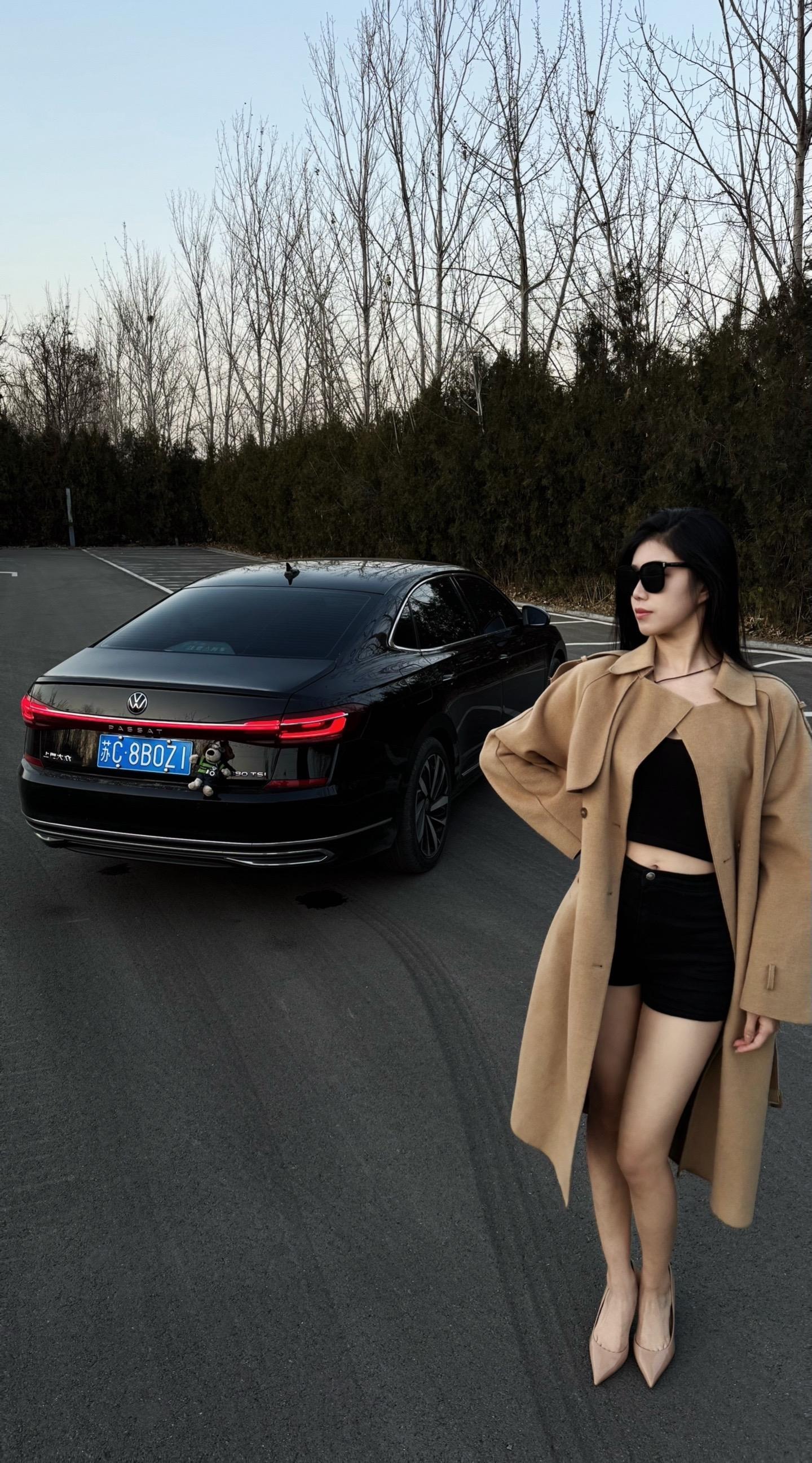帕萨特出众款 280TSI 商务版展示图3