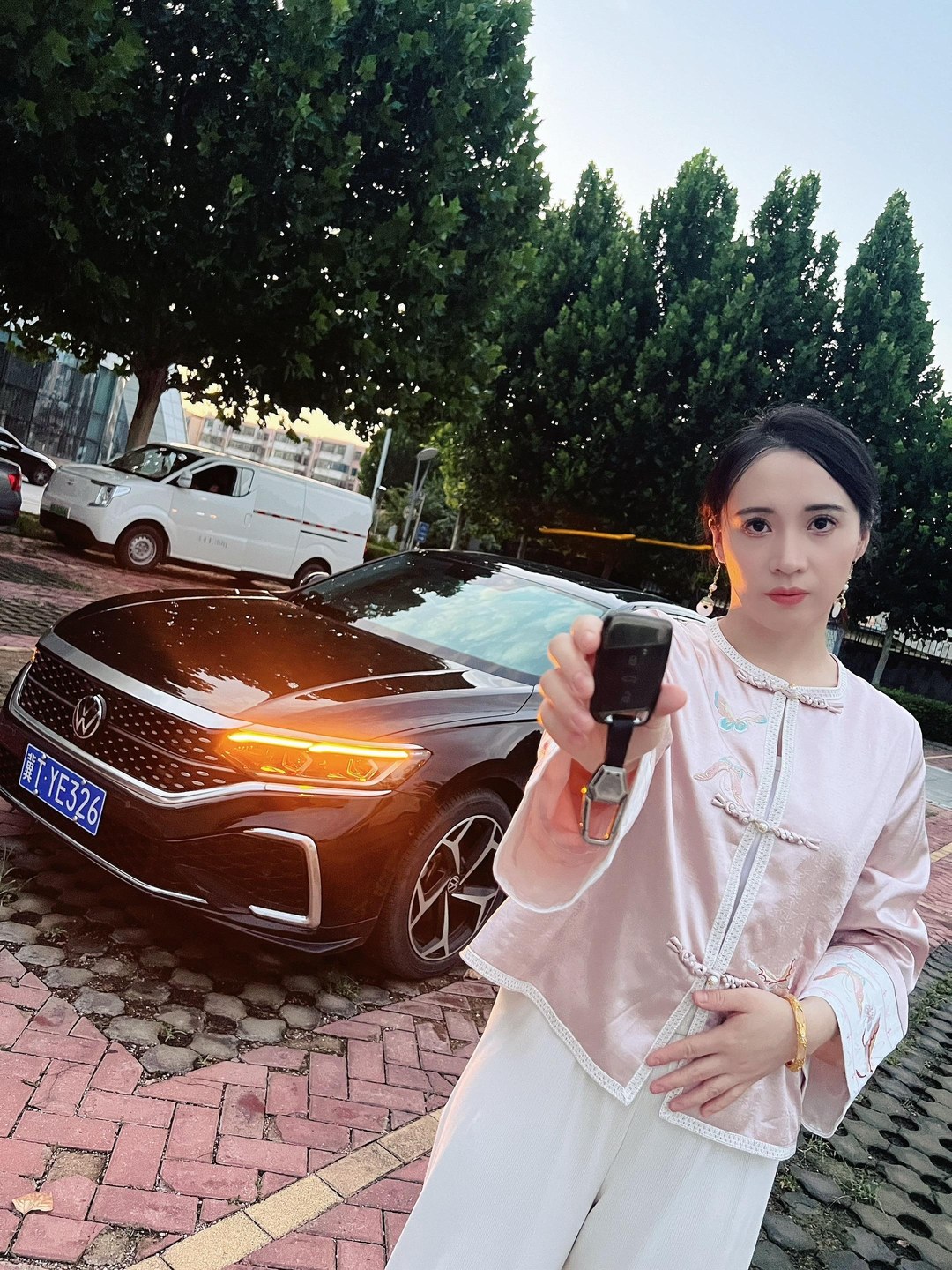 帕萨特Pro 380TSI 旗舰版展示图2
