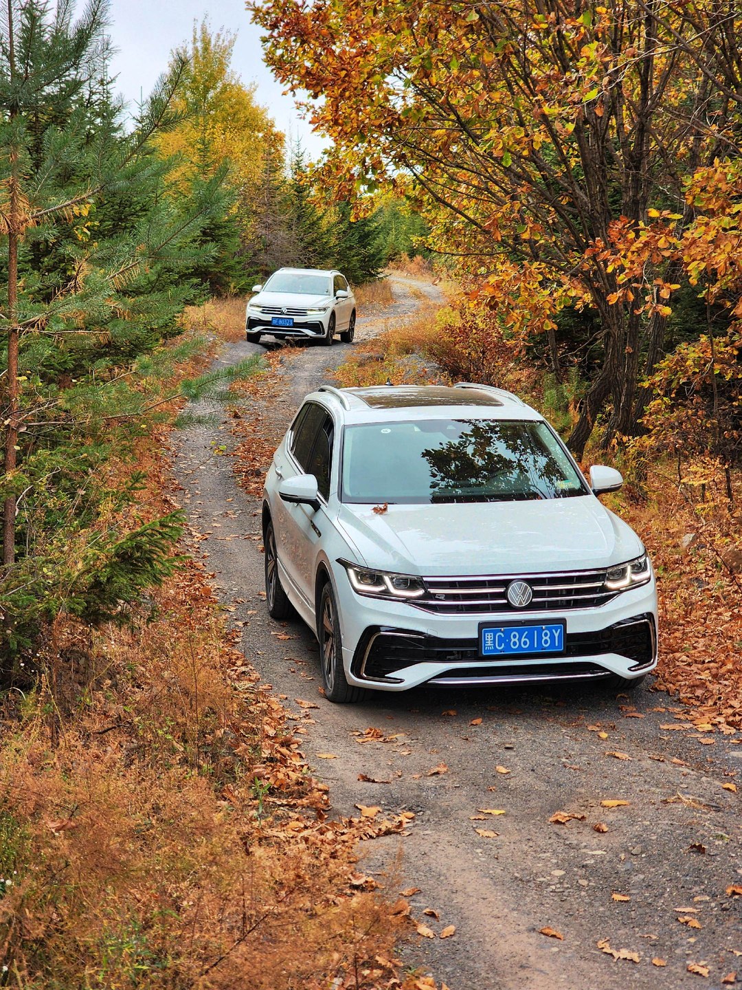 途观LPro 380TSI 两驱智行版展示图1