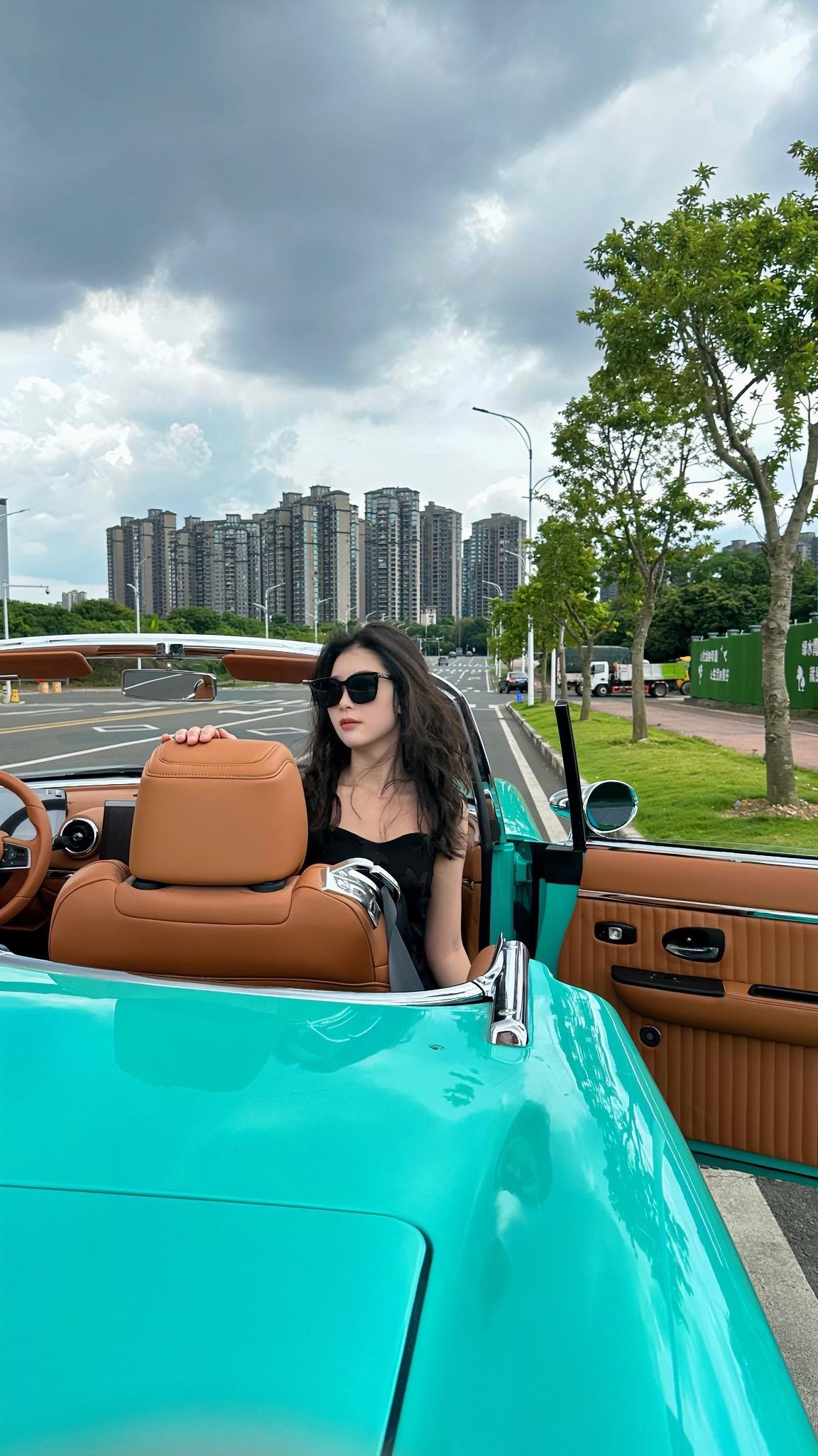 海豚EV经济版展示图1