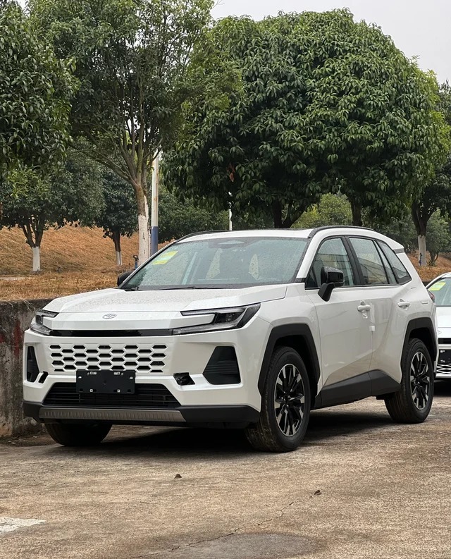 威兰达2.0L 两驱AIR展示图2