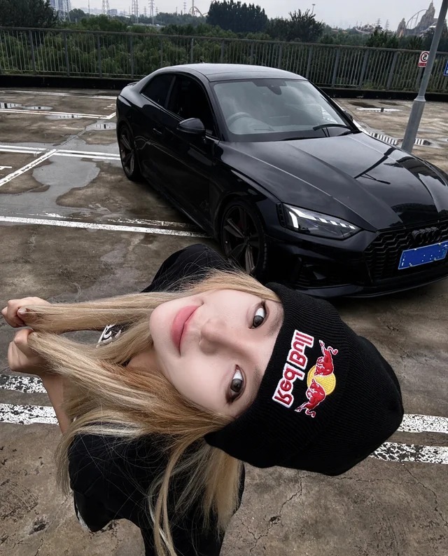 奥迪RS Q8RS Q8 4.0T  Performance展示图3