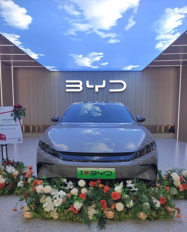 汉EV705KM闪充尊贵型展示图2
