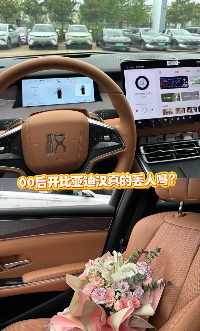 汉EV705KM闪充尊荣型展示图1