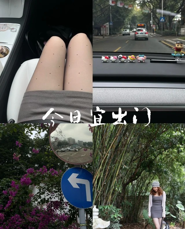 Model Y后轮驱动版展示图3