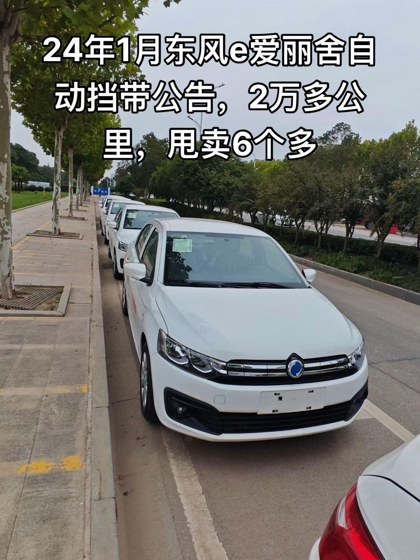 e爱丽舍300km 自动智教版展示图2