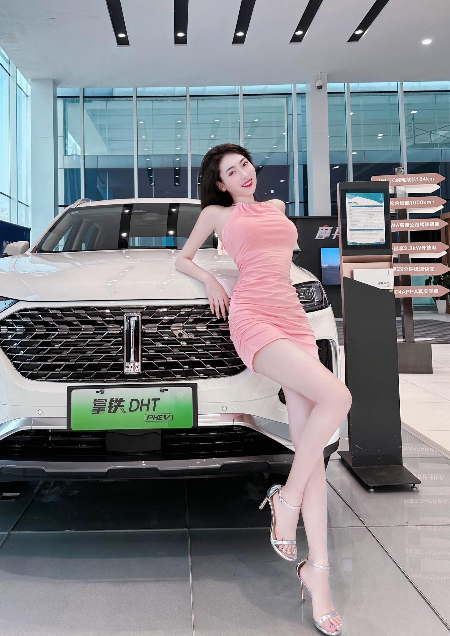 Passat PHEV