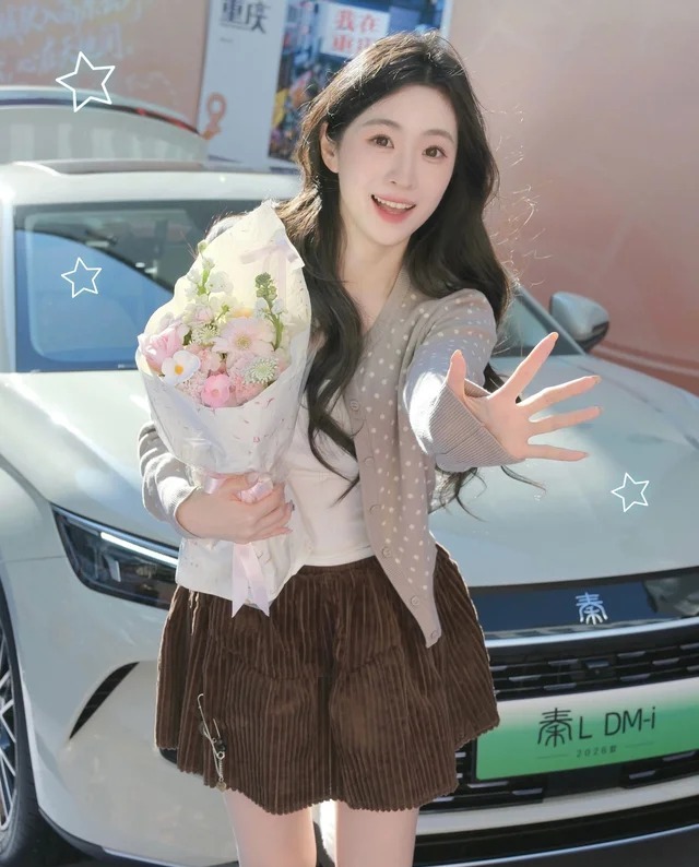 秦PLUS DMDM-i  210KM 超越型展示图2