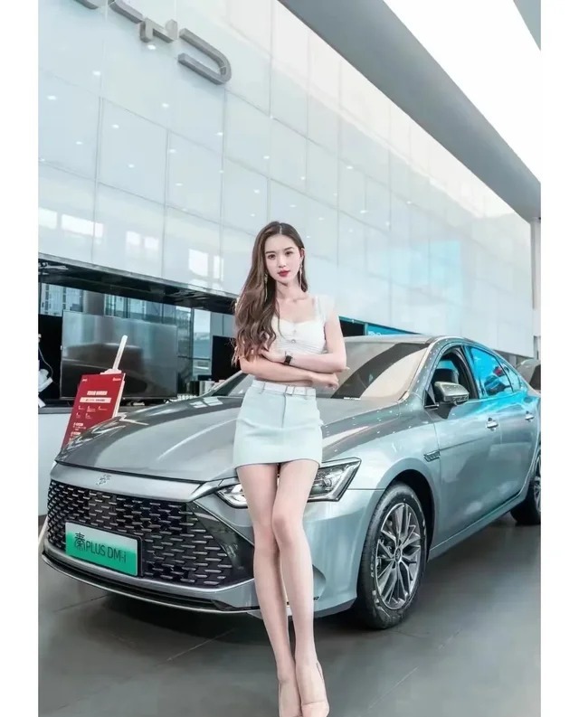 秦PLUS DMDM-i  210KM 进取型展示图2