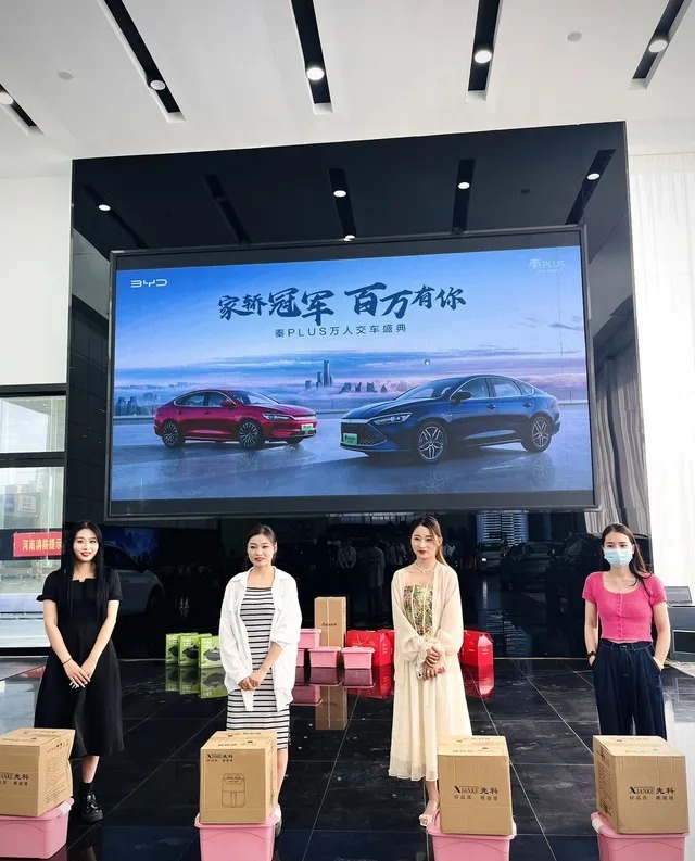 秦PLUS DMDM-i  210KM 超越型展示图3